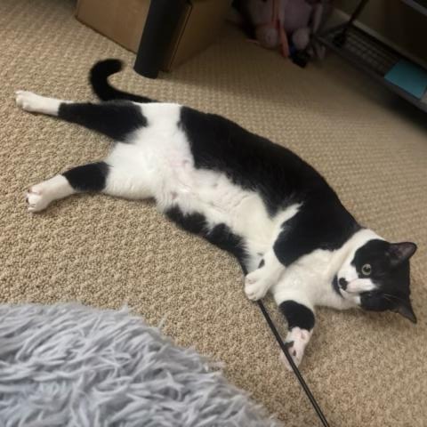 Ellie