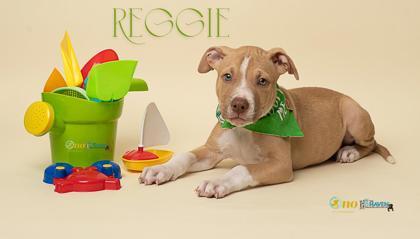 Reggie