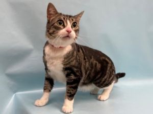 Milly May