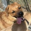 Sam photo 1