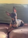 Rosie photo 4
