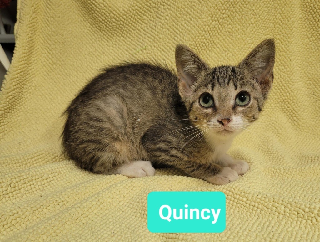 Quincy