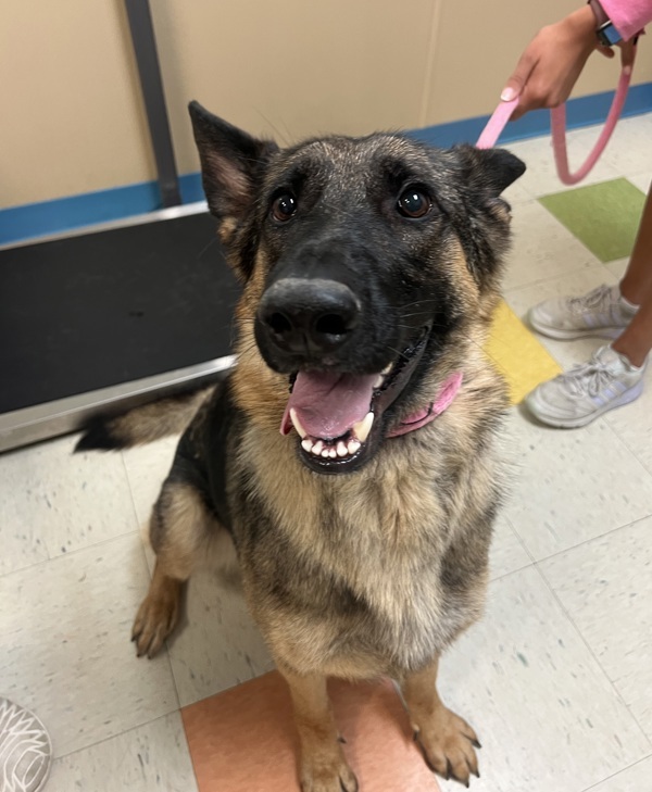 Maggie