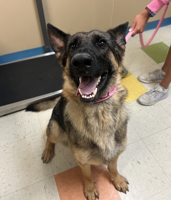 Maggie