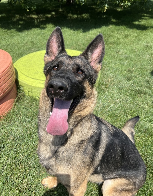 Maggie