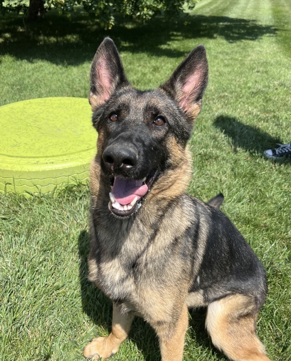 Maggie