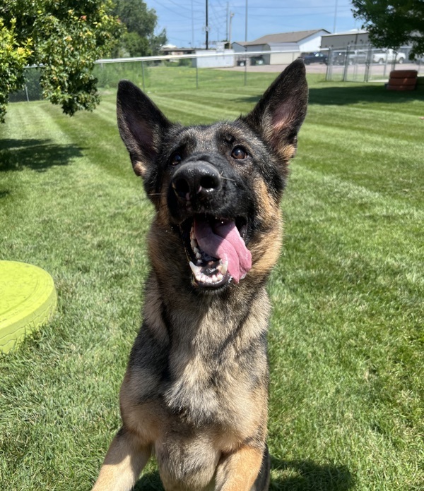 Maggie