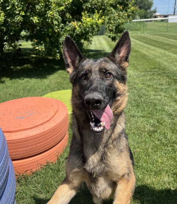 Maggie