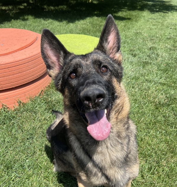 Maggie