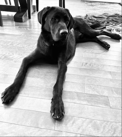 Gunner