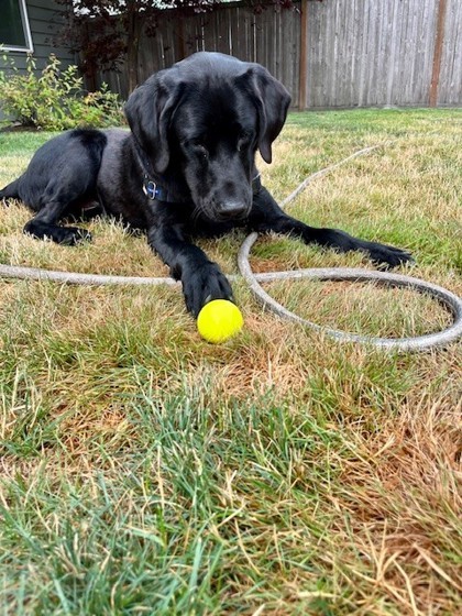 Gunner