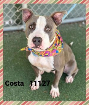 Primary Color White Secondary Color Grey Weight 49lbs