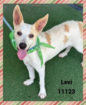 Primary Color White Secondary Color Tan Weight 32lbs Age 0yrs 10mths 1wks