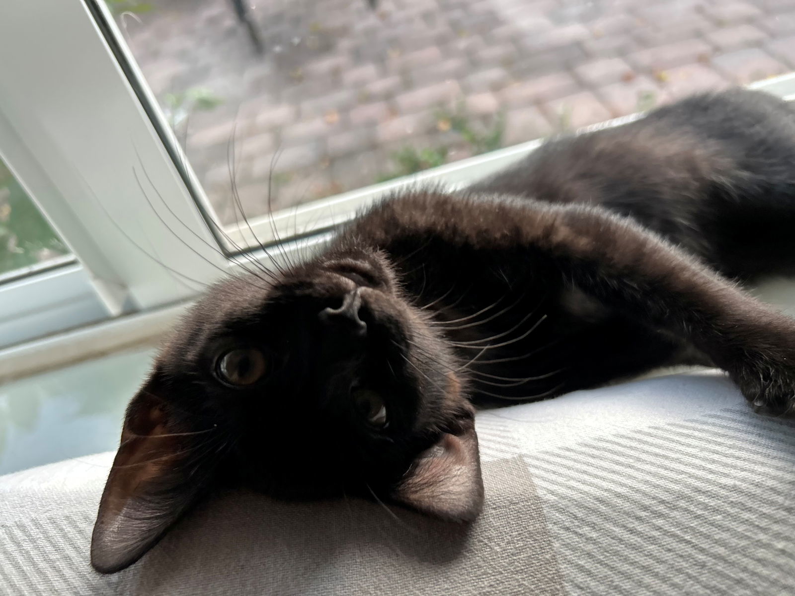 TILLY
