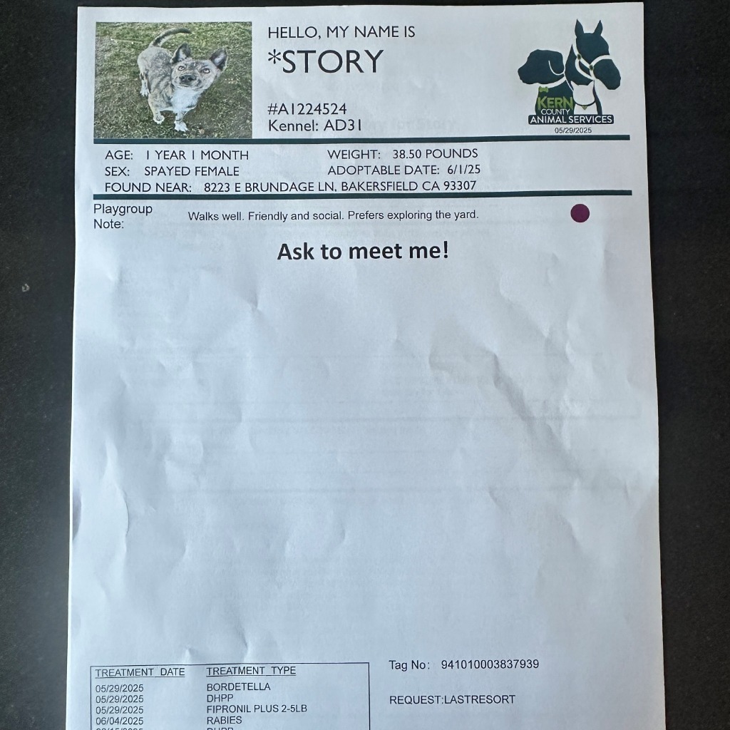 Story