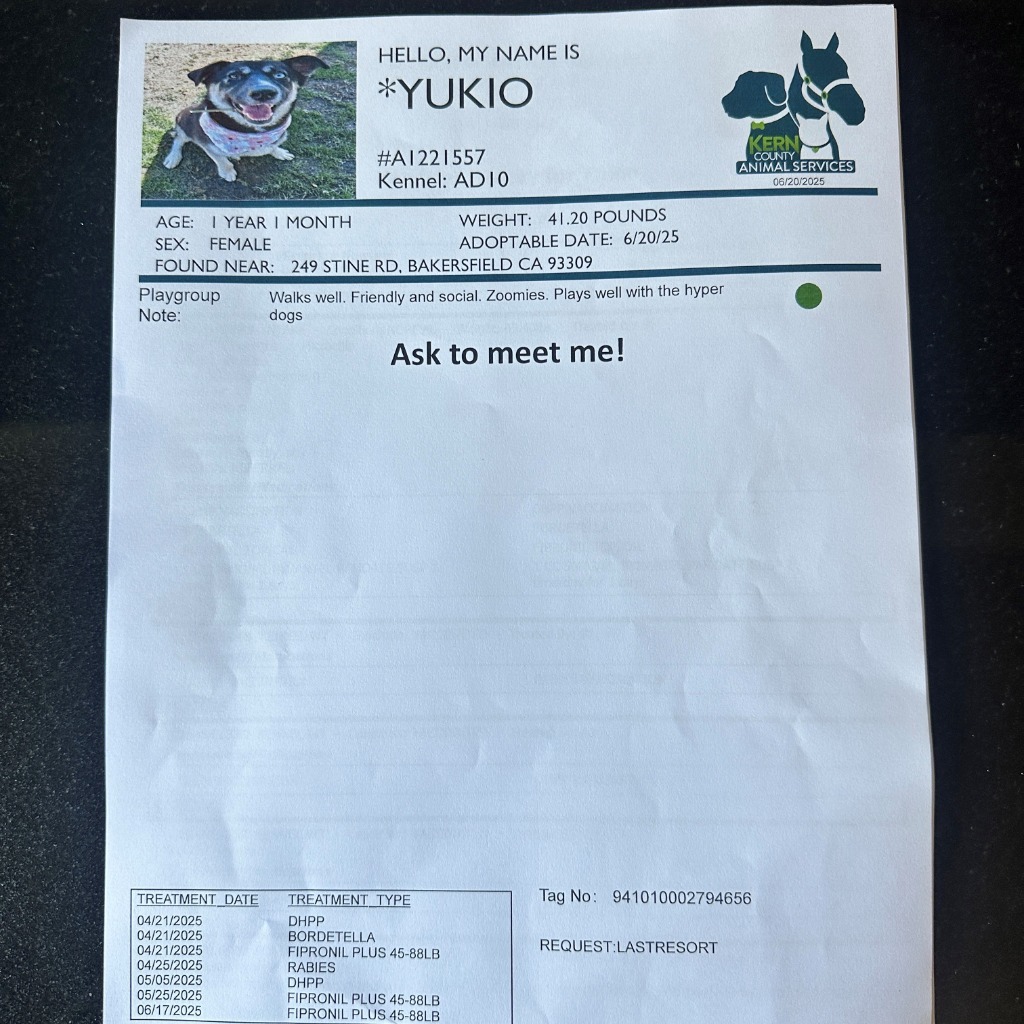 Yukio