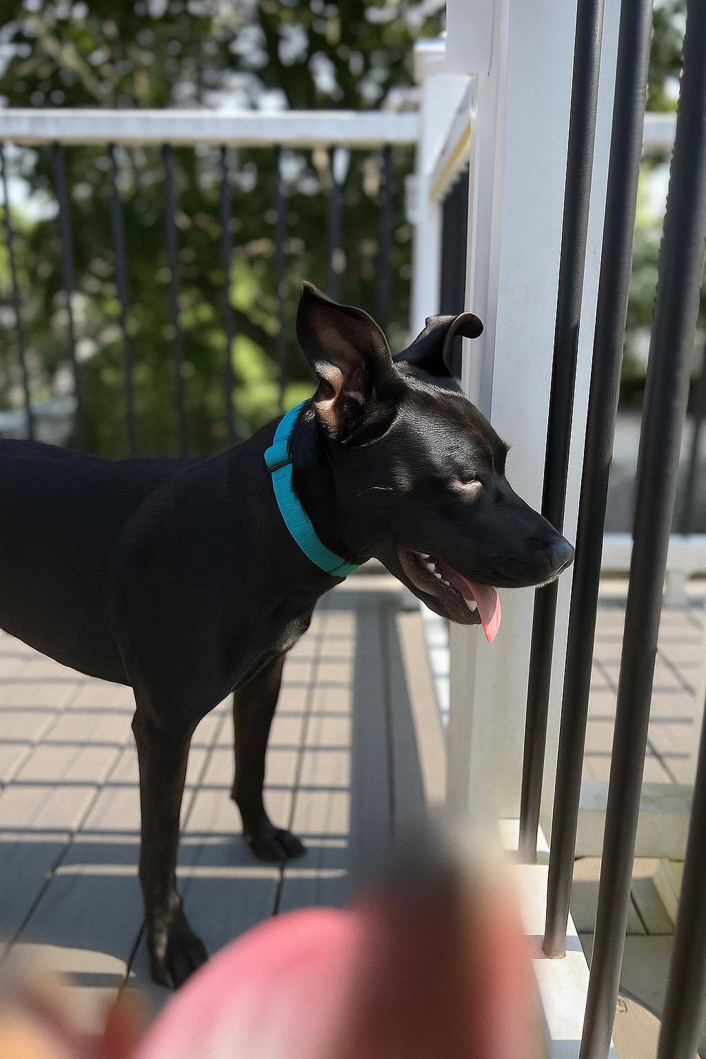 CECE AKA DIOR