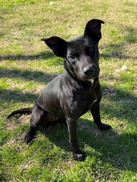 CECE AKA DIOR