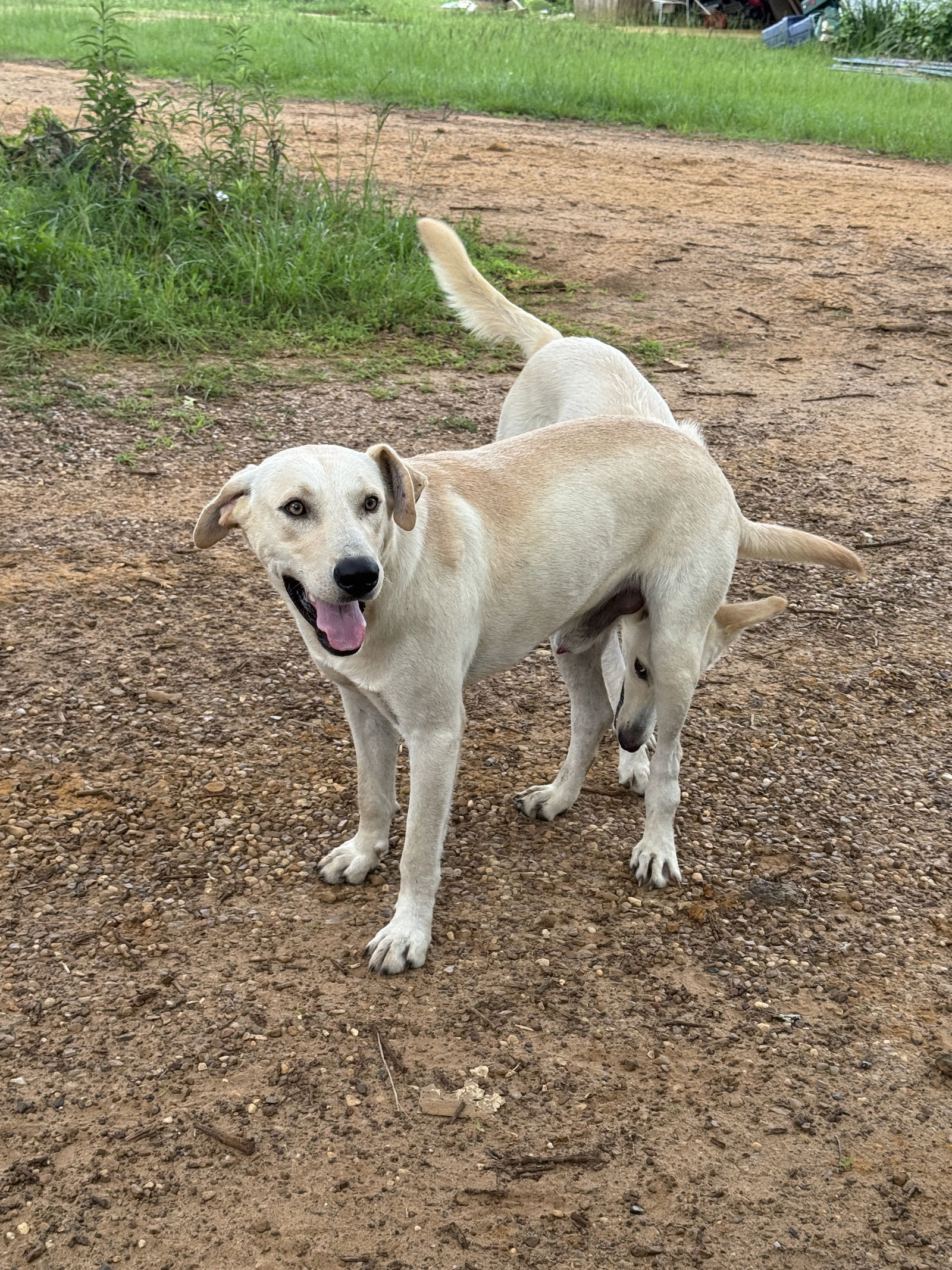 Leroy
