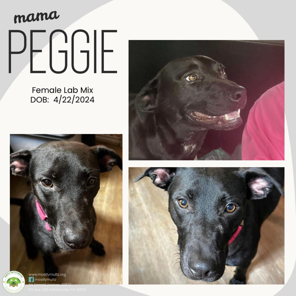 Peggie