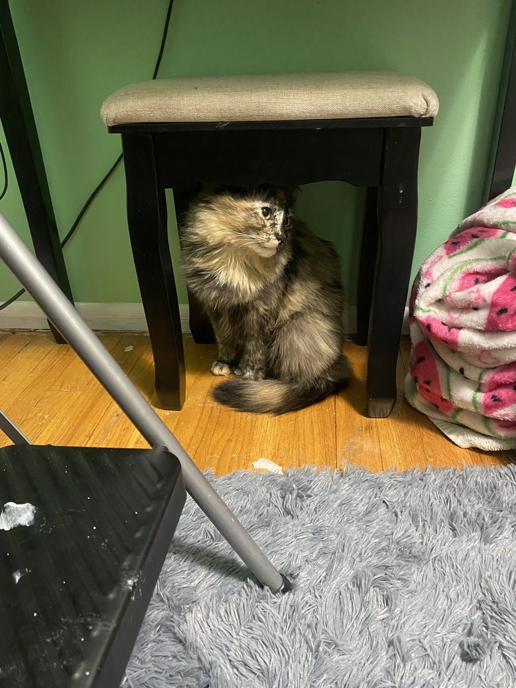 Mama