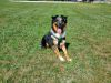 0834 Duke photo 1