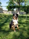 0834 Duke photo 2