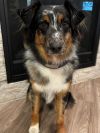 0834 Duke photo 3