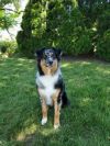 0834 Duke photo 4