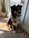 0834 Duke photo 5