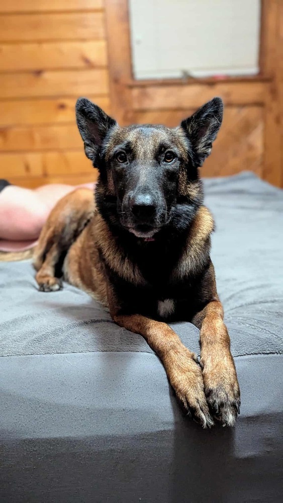 Athena - Located in CO