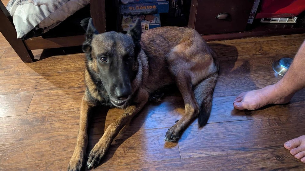 Athena - Located in CO