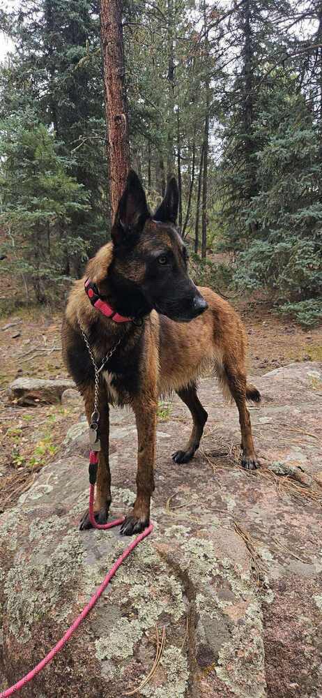 Athena - Located in NM