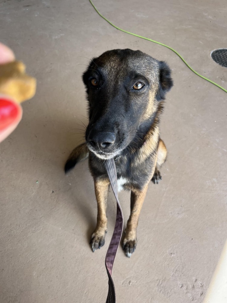 Athena - Located in CO