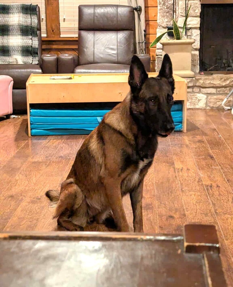 Athena - Located in NM