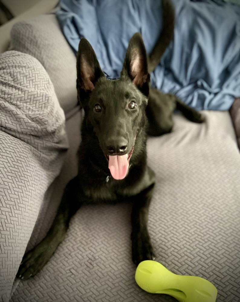 Cosmo - formerly Mako - Located in FL