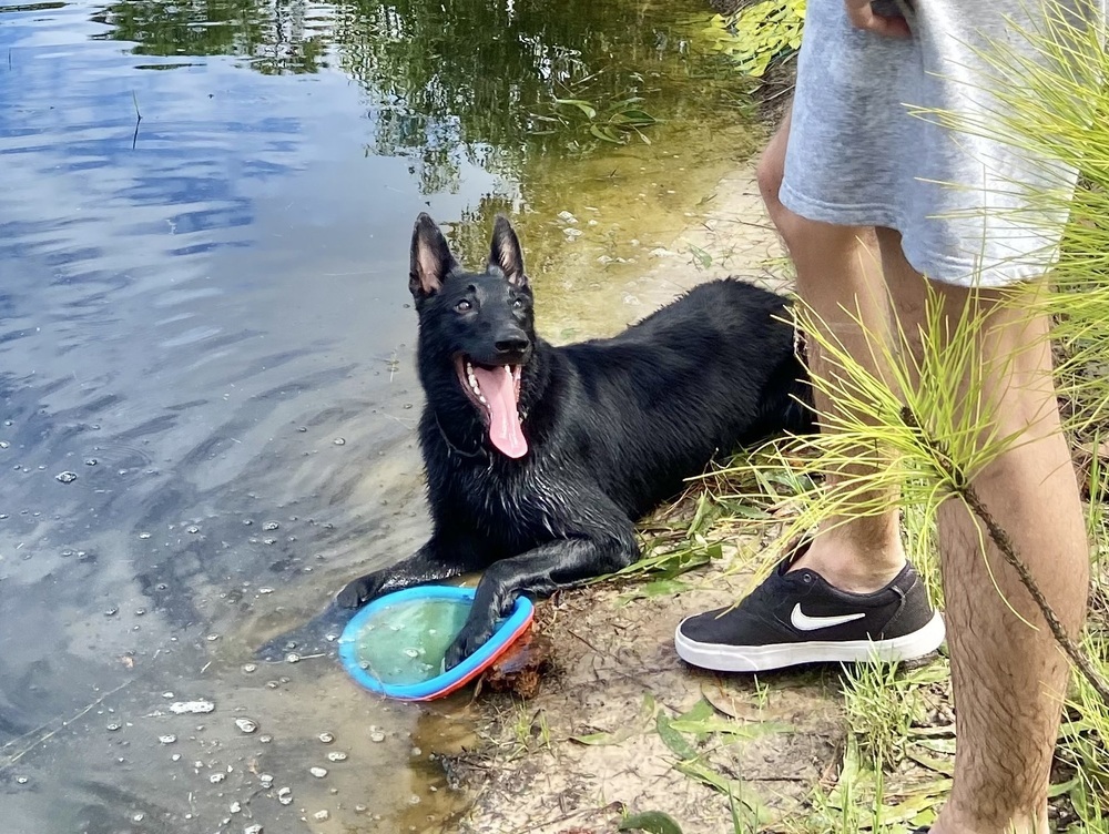 Cosmo - formerly Mako - Located in FL
