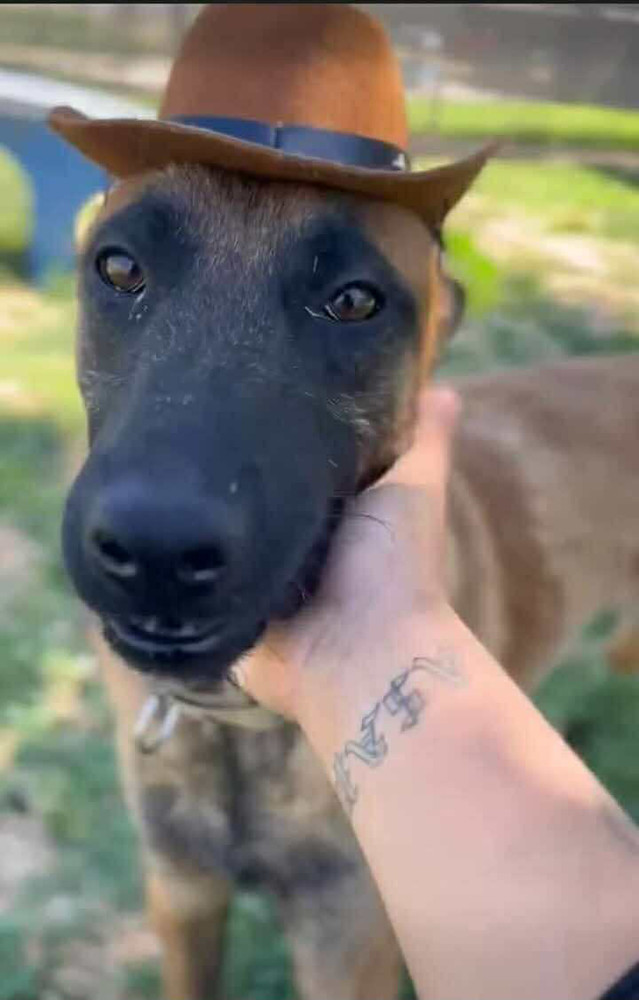 Cowboy fka Fiel - Located in AZ