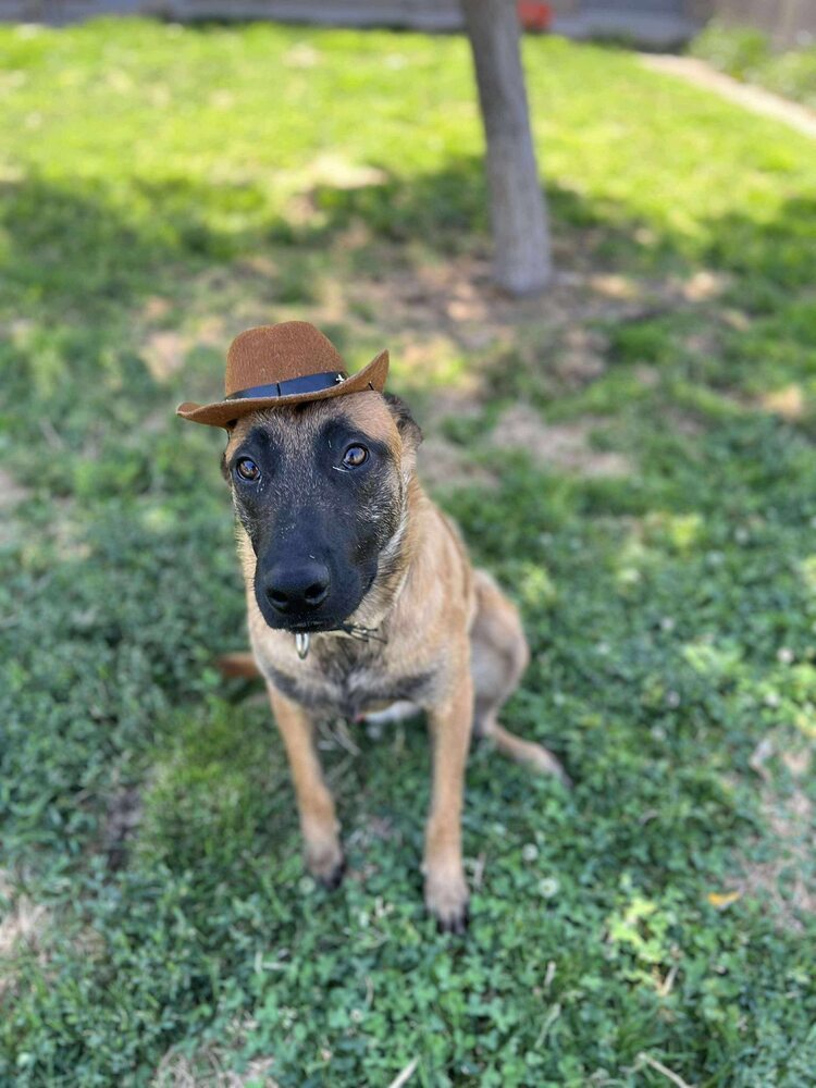 Cowboy fka Fiel - Located in AZ