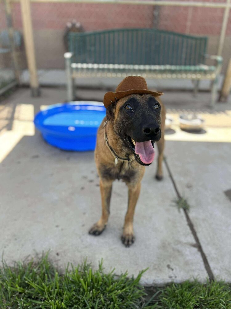 Cowboy fka Fiel - Located in AZ