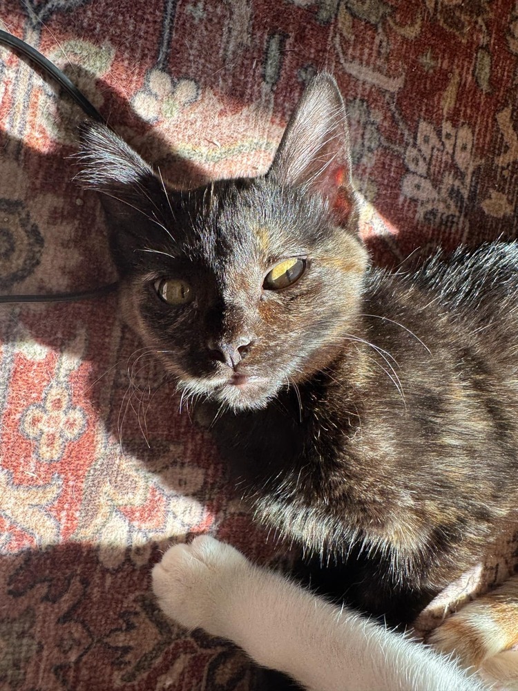 Carla