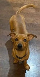 Tucker