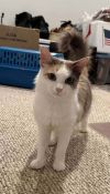 KiKi photo 2