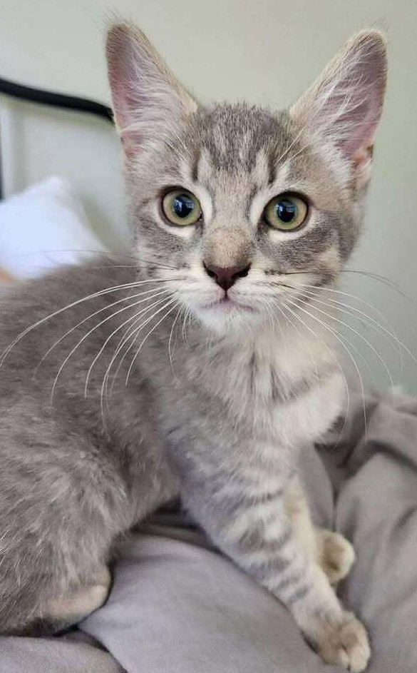 Eleanor