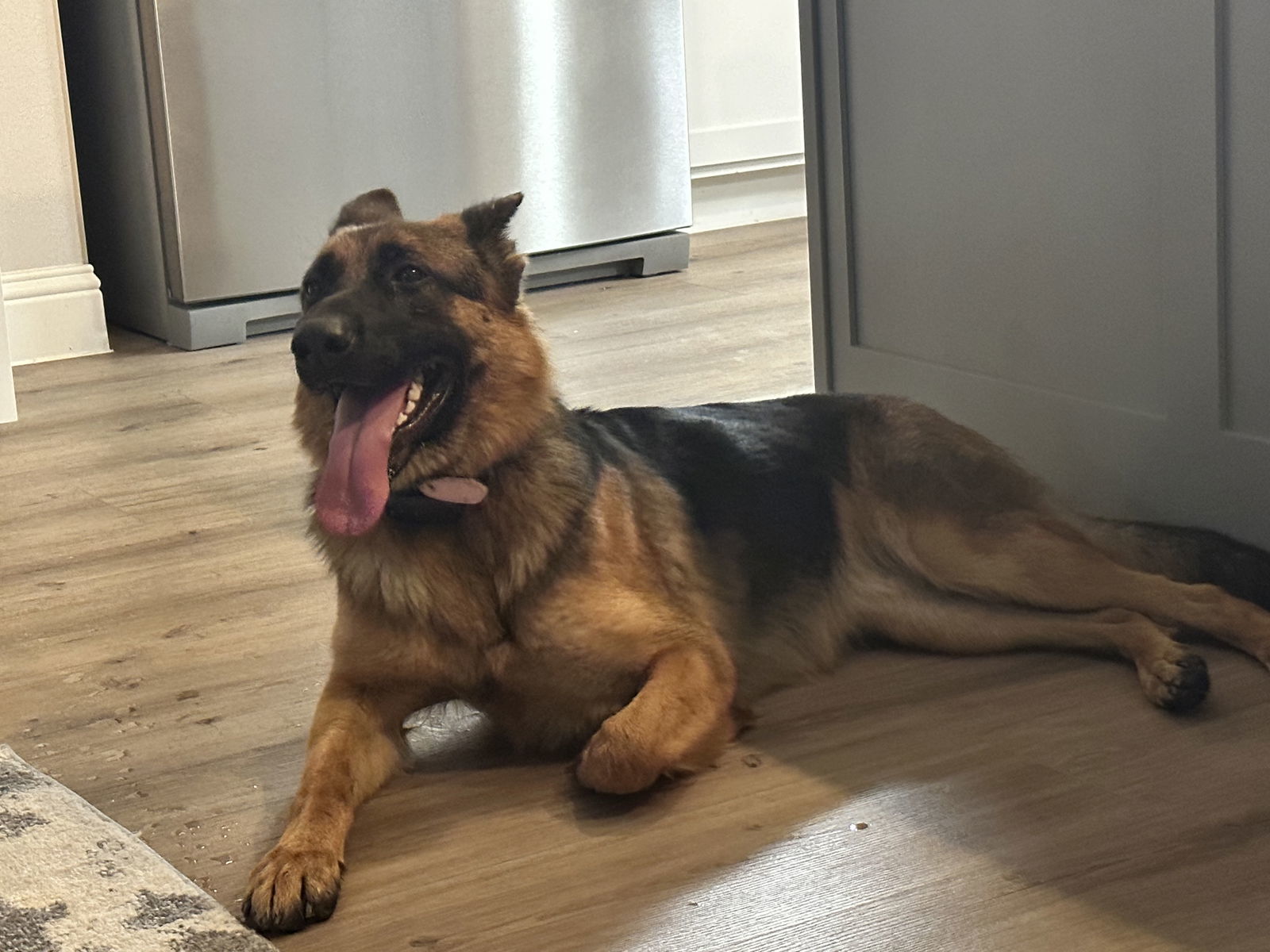 Luna