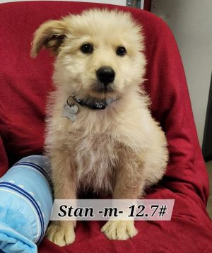 Stan