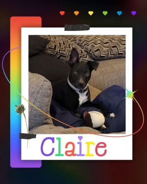 Claire