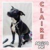 Claire photo 1