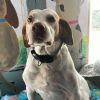 Charlie photo 3