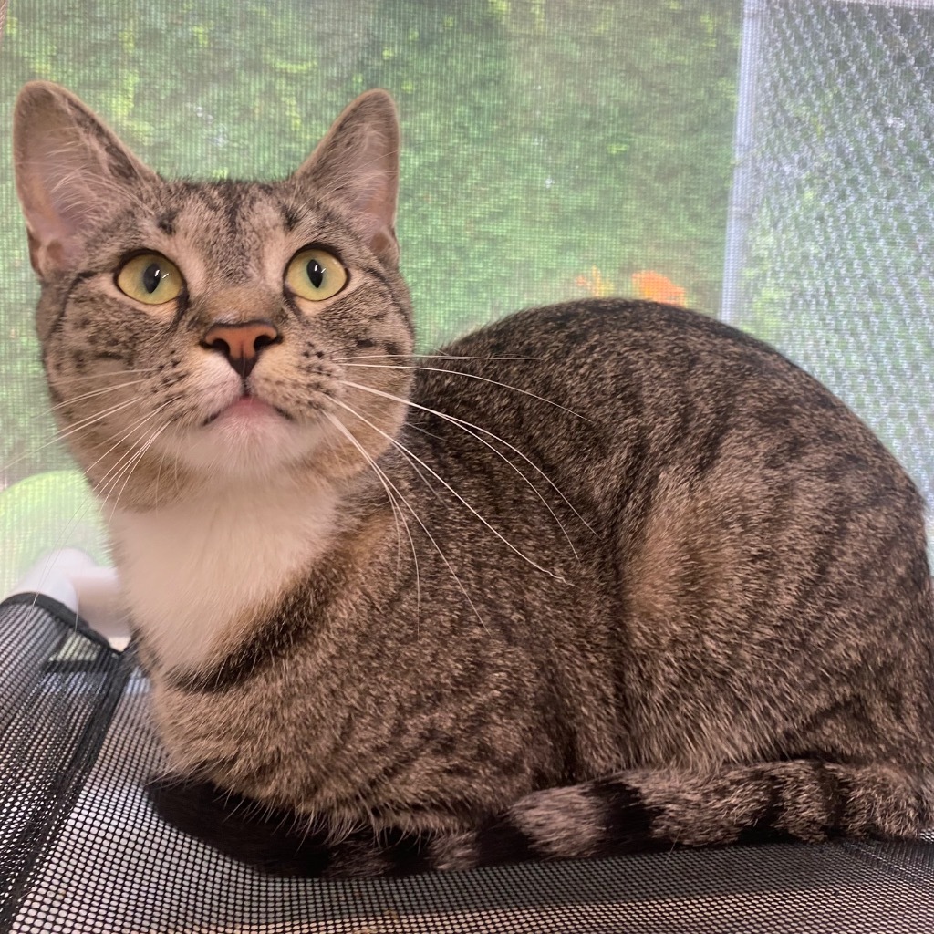 Minnie